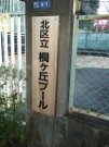 桐ヶ丘プールの写真
